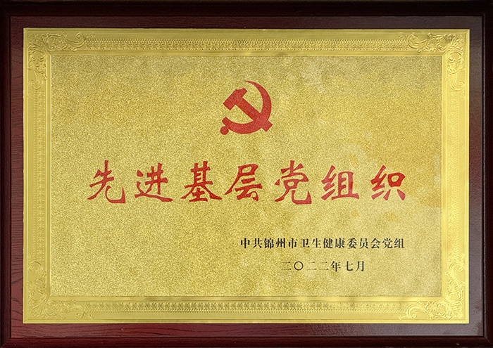 先进基层党组织