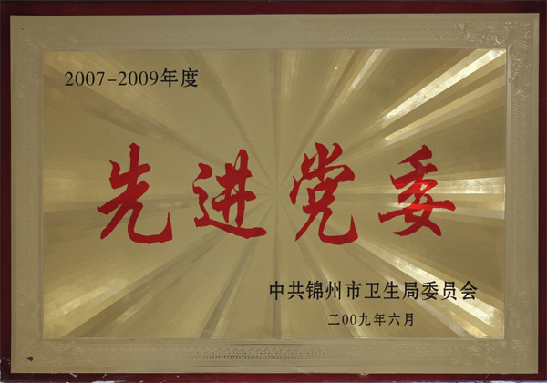 2007-2009年度先进党委